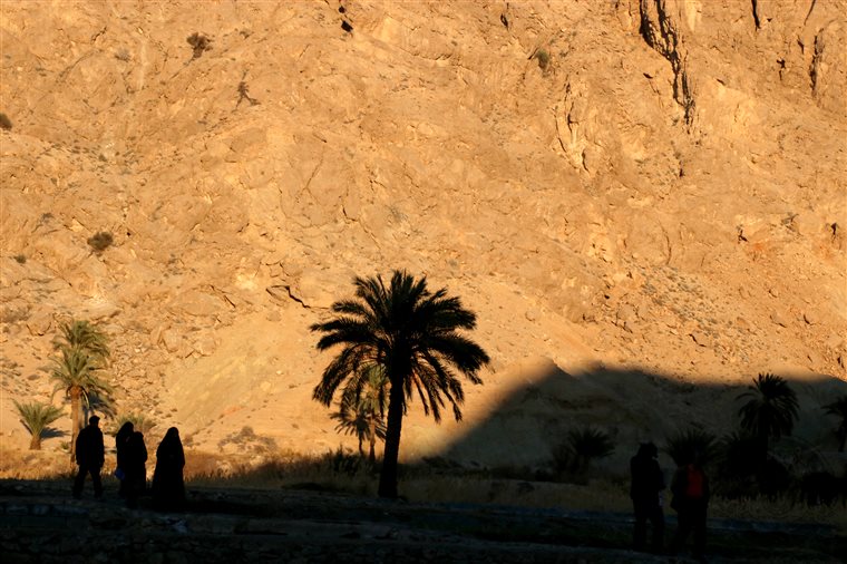 بخشی از طبیعت